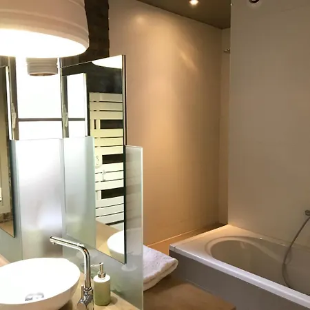 Beautiful Duplex In The Center Of * פריז